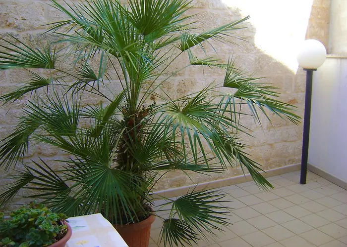 Appartement Aquila Alberobello